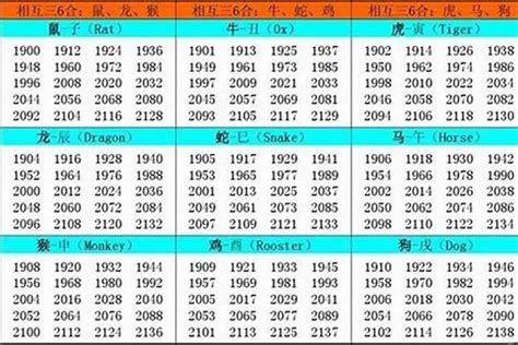 2002 属什么|2002年属什么命 2002年属什么生肖和什么最配